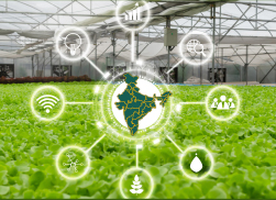 IoT Adoption in Indian Agriculture: A 2020 Landscape
