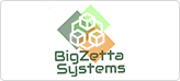  BigZetta Systems