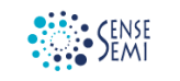  Sensesemi Technologies Private Limited