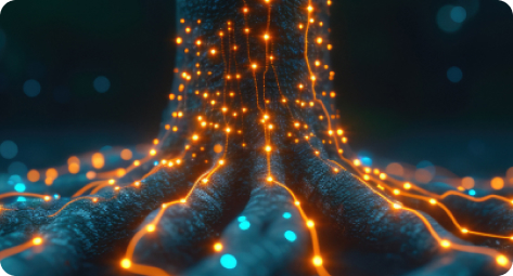 Build Lasting Connections