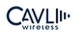 Cavli Wireless