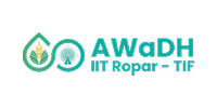 IIT Ropar