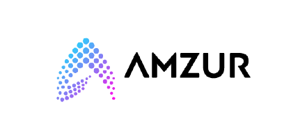 Amzur Infotech Private Limited