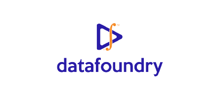 DataFoundry Private Limited