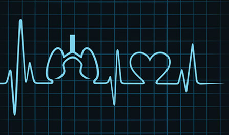 Lung & Heart Monitor