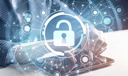 Privacy Preserved Data Analytics